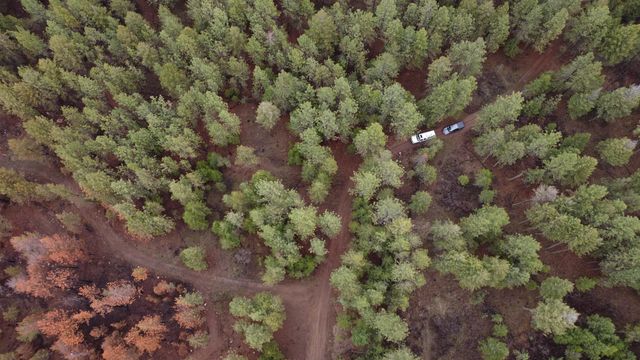 Xxx Coyote Ridge Ln, Ford, WA 99013