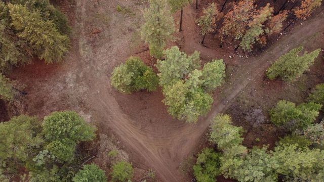 Xxx Coyote Ridge Ln, Ford, WA 99013