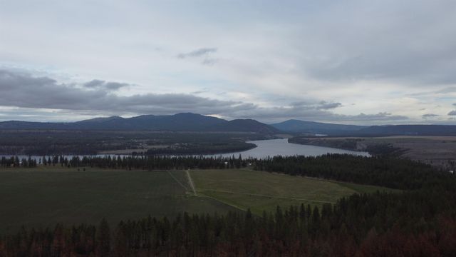 Xxx Coyote Ridge Ln, Ford, WA 99013