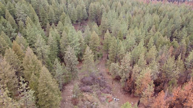 Xxx Coyote Ridge Ln, Ford, WA 99013