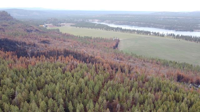 Xxx Coyote Ridge Ln, Ford, WA 99013