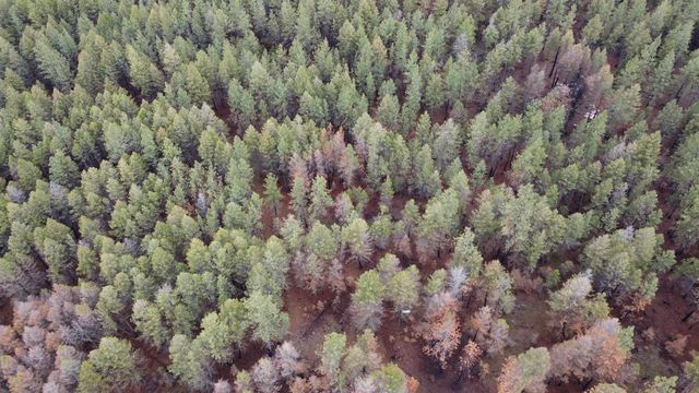 Xxx Coyote Ridge Ln, Ford, WA 99013