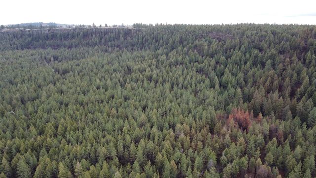 Xxx Coyote Ridge Ln, Ford, WA 99013