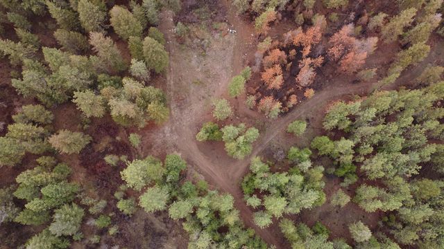 Xxx Coyote Ridge Ln, Ford, WA 99013