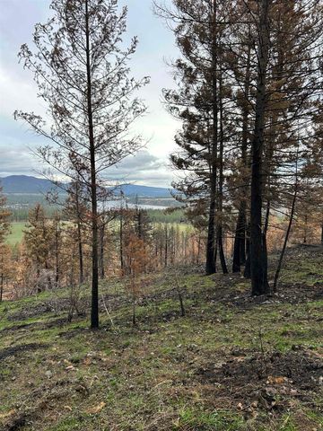 Xxx Coyote Ridge Ln, Ford, WA 99013