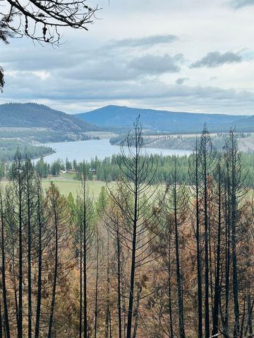 Xxx Coyote Ridge Ln, Ford, WA 99013