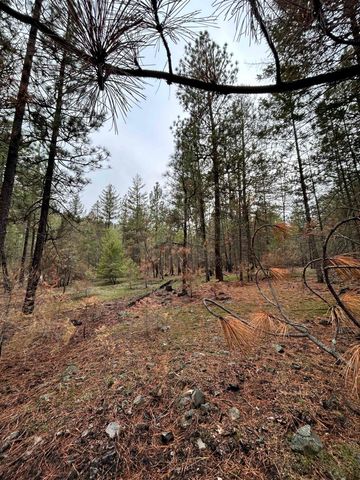 Xxx Coyote Ridge Ln, Ford, WA 99013