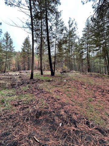 Xxx Coyote Ridge Ln, Ford, WA 99013