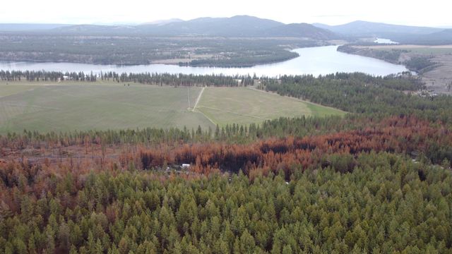 Xxx Coyote Ridge Ln, Ford, WA 99013