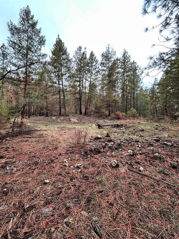 Xxx Coyote Ridge Ln, Ford, WA 99013