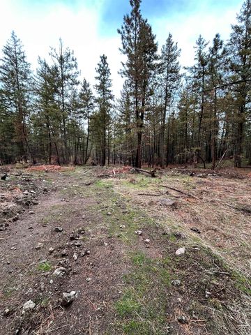 Xxx Coyote Ridge Ln, Ford, WA 99013