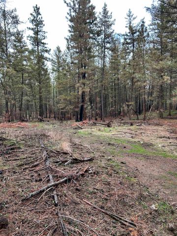 Xxx Coyote Ridge Ln, Ford, WA 99013