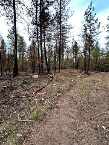 Xxx Coyote Ridge Ln, Ford, WA 99013