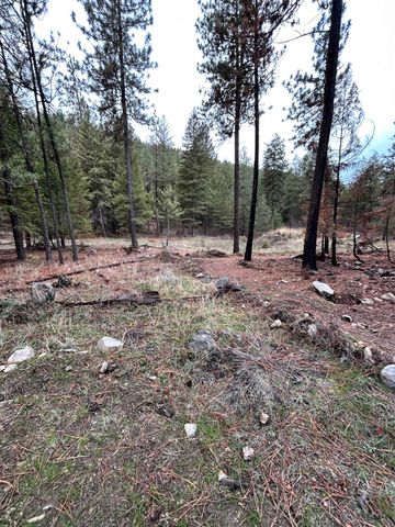 Xxx Coyote Ridge Ln, Ford, WA 99013