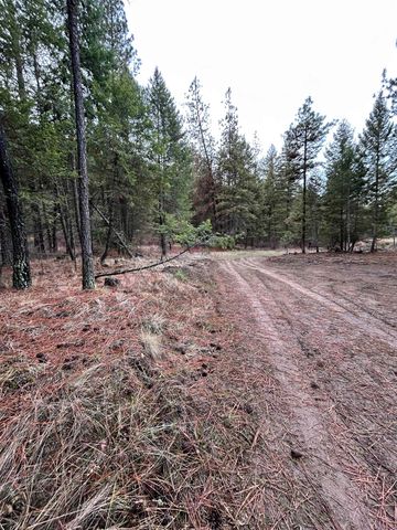 Xxx Coyote Ridge Ln, Ford, WA 99013