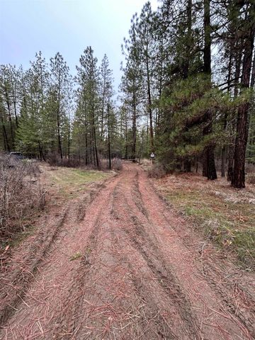 Xxx Coyote Ridge Ln, Ford, WA 99013