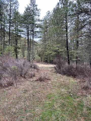 Xxx Coyote Ridge Ln, Ford, WA 99013