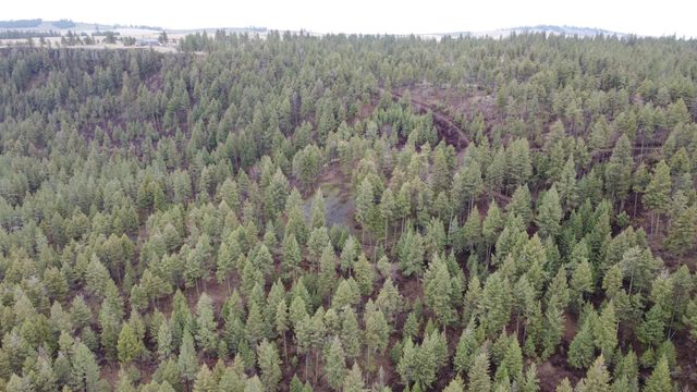 Xxx Coyote Ridge Ln, Ford, WA 99013