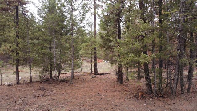 Xxx Coyote Ridge Ln, Ford, WA 99013