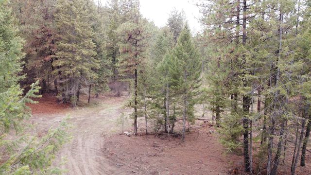 Xxx Coyote Ridge Ln, Ford, WA 99013