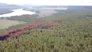 Xxx Coyote Ridge Ln, Ford, WA 99013