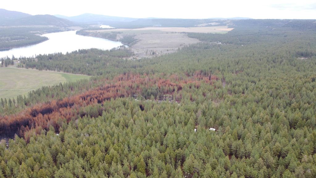 Xxx Coyote Ridge Ln, Ford, WA 99013