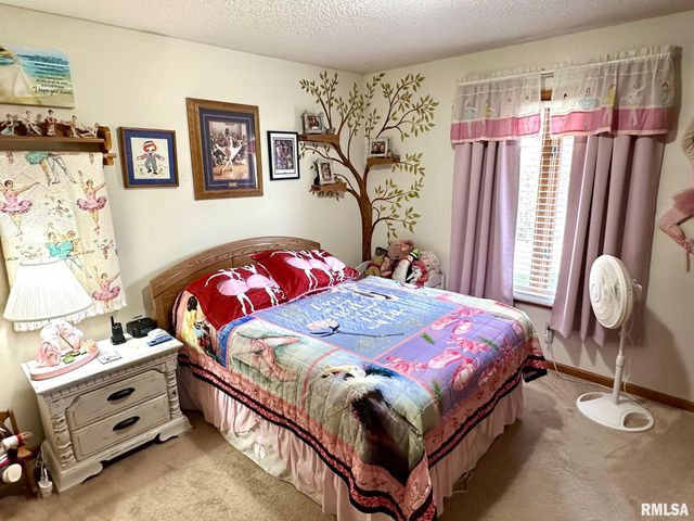 307 Westwinds Drive, Jacksonville, IL 62650