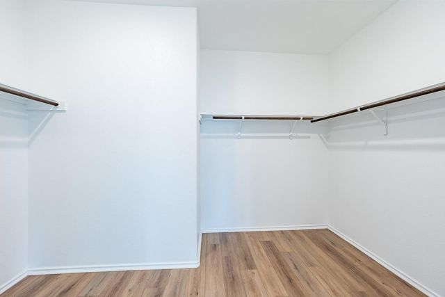 10217 Prague CT, Austin, TX 78747