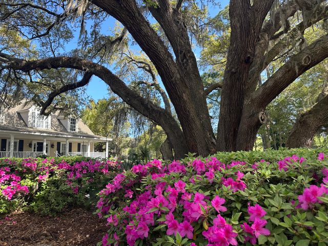 4339 Hope Plantation Drive, Johns Island, SC 29455