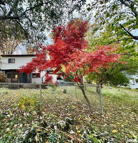 325 LAWNDALE Avenue, Creve Coeur, IL 61610