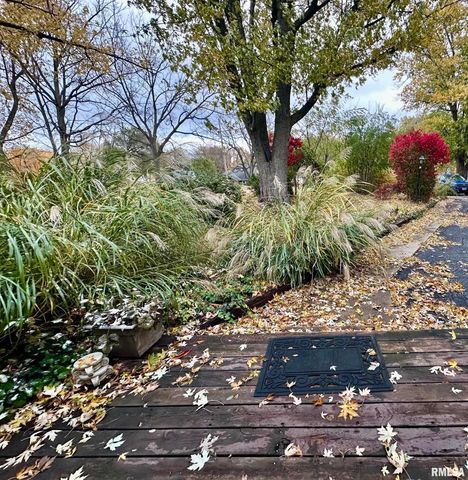 325 LAWNDALE Avenue, Creve Coeur, IL 61610