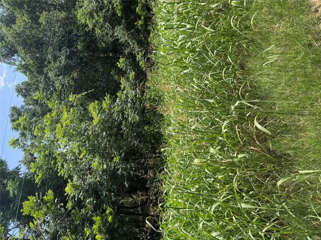 Lot 908 Kahana LN, Bastrop, TX 78602