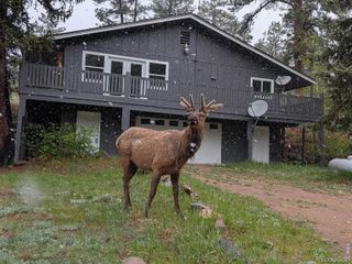 163 West Creek Road, Glen Haven, CO 80532