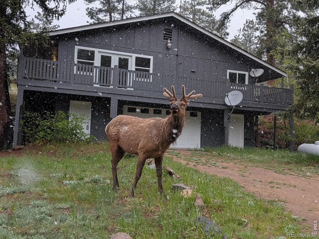163 West Creek Road, Glen Haven, CO 80532