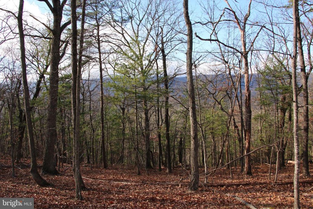 Image 1 of property listing at SUPINLICK RIDGE RD, Mount Jackson, VA 22842
