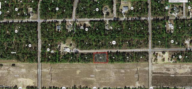 6925 N Fountainhead Drive, Citrus Springs, FL 34433