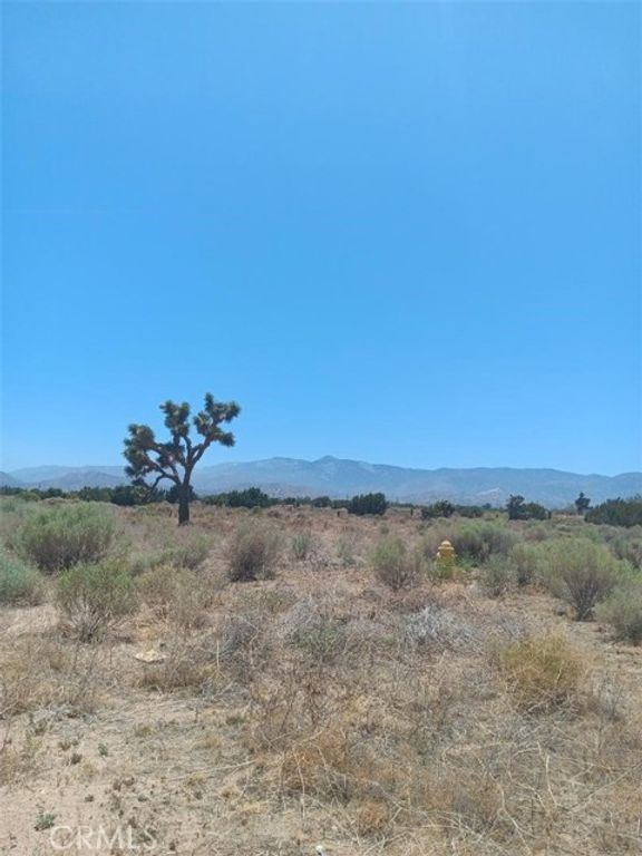 0 yucca Terrace Road, Phelan, CA 92371