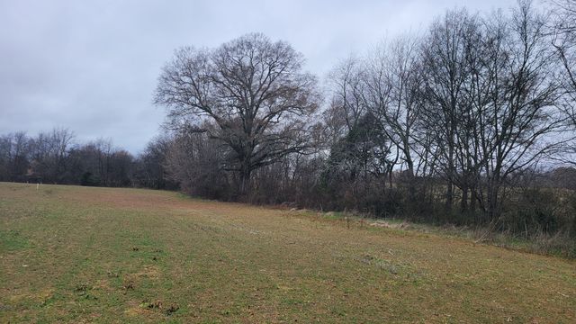 2917 Old McMinnville Hwy, Woodbury, TN 37190