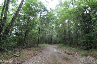 177 +/- Ac Burnis Havard Rd, Perkinston, MS 39573