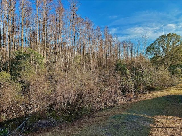 7428 SAINT JOHNS ROAD, Land O Lakes, FL 34638