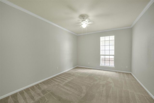 2400 N Braeswood Boulevard 213, Houston, TX 77030