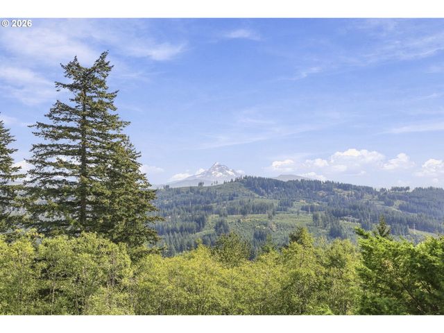 31013 Ne 69TH St, Camas, WA 98607