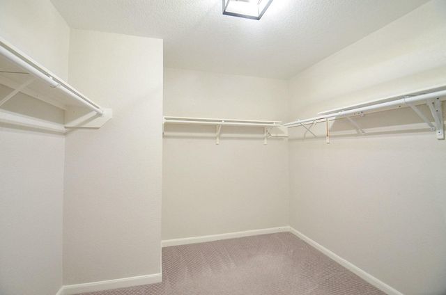 16406 Star Canyon Court, Cypress, TX 77429