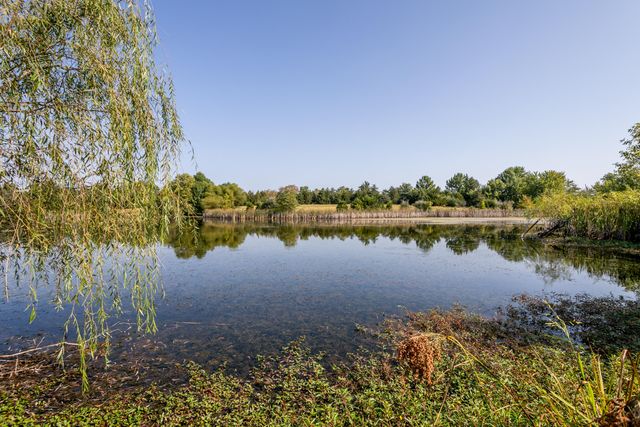 10673 AUDRAIN RD 973, Centralia, MO 65240