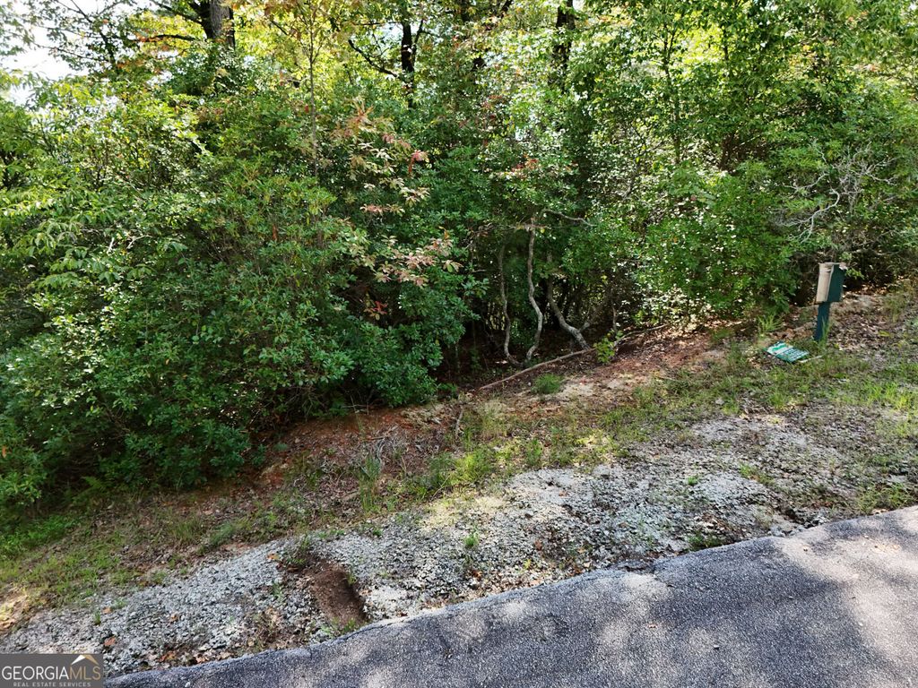 LOT 119 EE Brown Hawk Drive, Clayton, GA 30525 — exterior