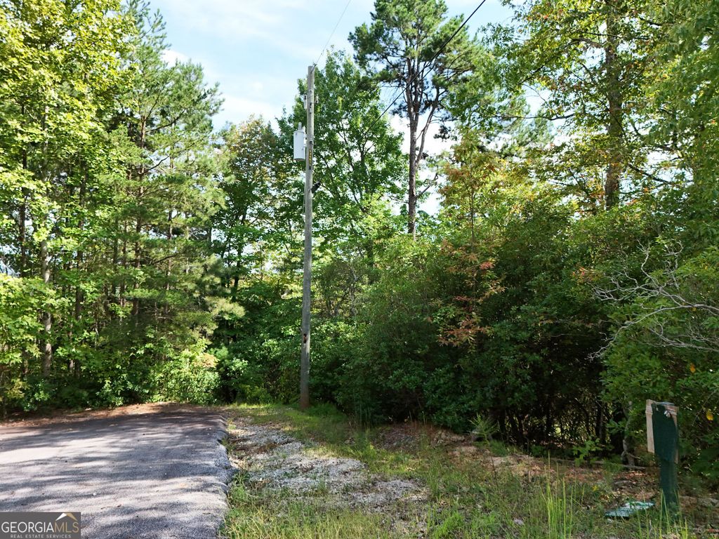 LOT 119 EE Brown Hawk Drive, Clayton, GA 30525 — photo 3