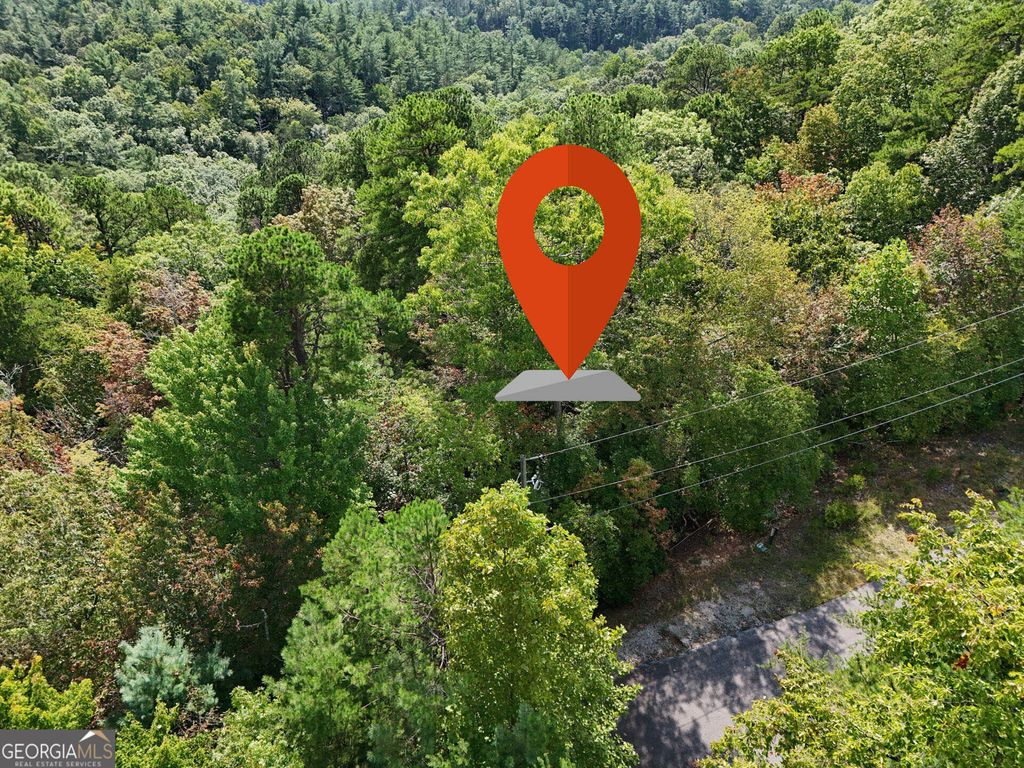 LOT 119 EE Brown Hawk Drive, Clayton, GA 30525 — photo 4