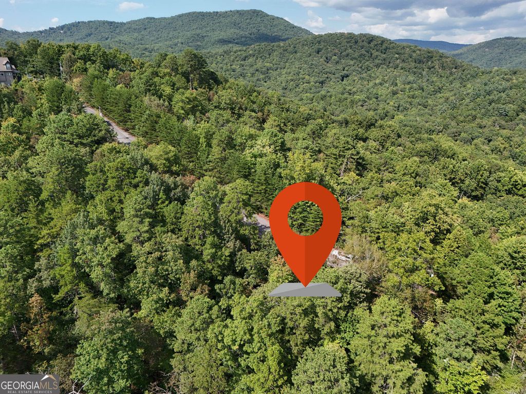 LOT 119 EE Brown Hawk Drive, Clayton, GA 30525 — photo 5