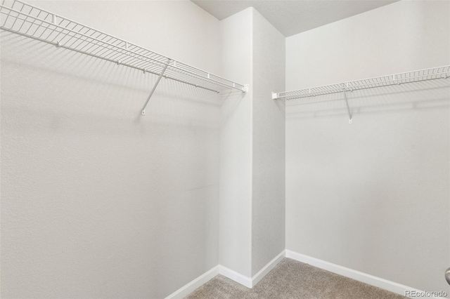 4075 Tiberias Point, Colorado Springs, CO 80916
