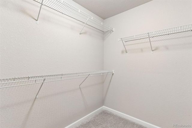 4075 Tiberias Point, Colorado Springs, CO 80916